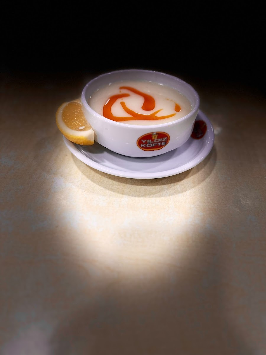 Yıldız Köfte Ve Izgara Salonu - Ünlü Çine Köftesi-4